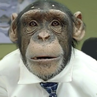 Benutzeravatar